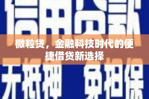 南丰微粒贷，金融科技时代的便捷借贷新选择