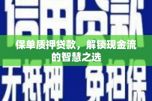 南丰保单质押贷款，解锁现金流的智慧之选