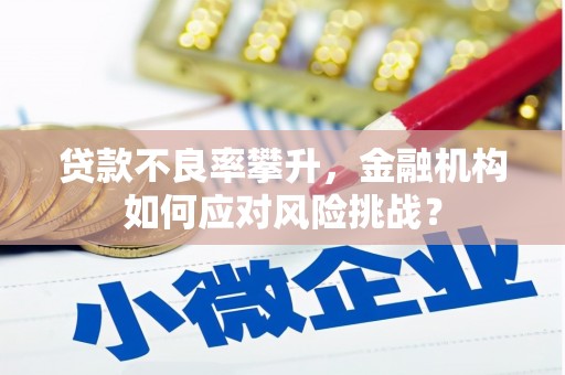 南丰贷款不良率攀升，金融机构如何应对风险挑战？