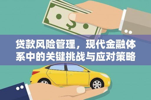 南丰贷款风险管理，现代金融体系中的关键挑战与应对策略