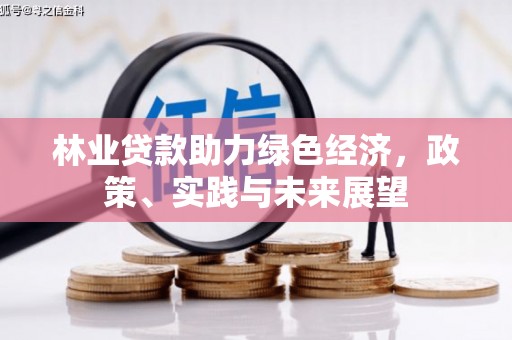 南丰林业贷款助力绿色经济，政策、实践与未来展望