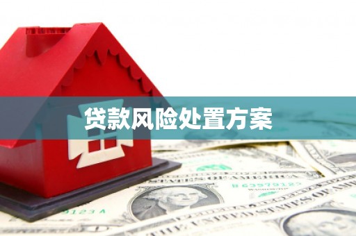 南丰贷款风险处置方案
