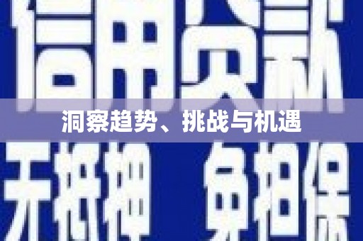 南丰洞察趋势、挑战与机遇