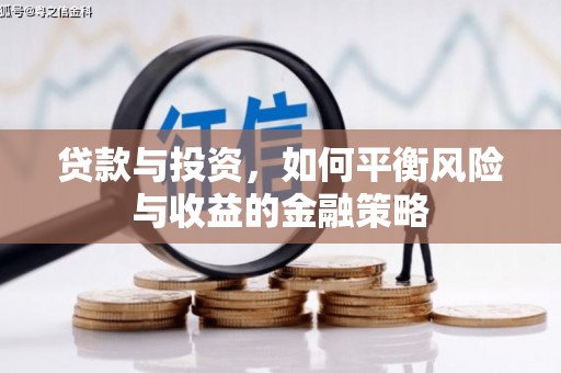 南丰贷款与投资，如何平衡风险与收益的金融策略