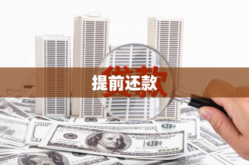 南丰提前还款
