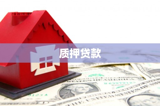 南丰质押贷款