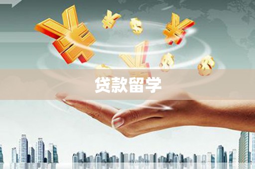 南丰贷款留学