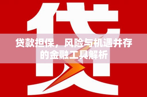 南丰贷款担保，风险与机遇并存的金融工具解析
