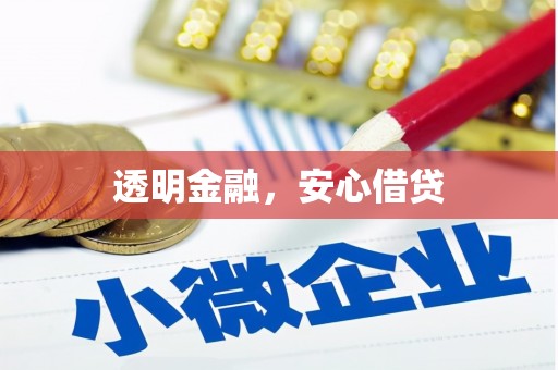 南丰透明金融，安心借贷