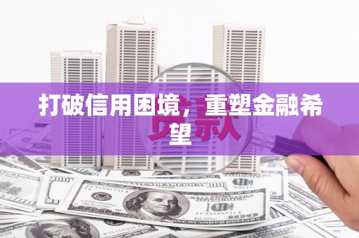 南丰打破信用困境，重塑金融希望