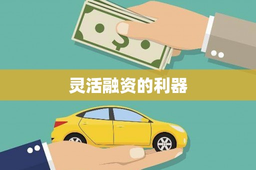南丰灵活融资的利器