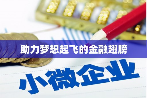 南丰助力梦想起飞的金融翅膀