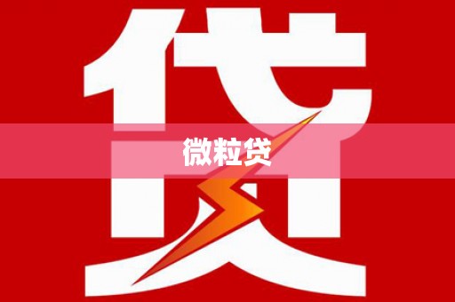 南丰微粒贷