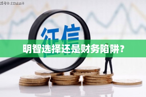 南丰明智选择还是财务陷阱？