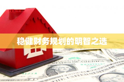 南丰稳健财务规划的明智之选