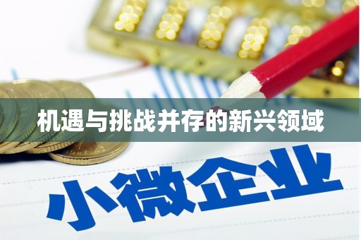 南丰机遇与挑战并存的新兴领域