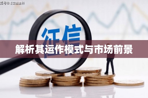 南丰解析其运作模式与市场前景
