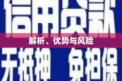 南丰解析、优势与风险