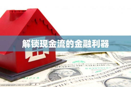 南丰解锁现金流的金融利器