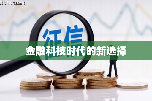南丰金融科技时代的新选择
